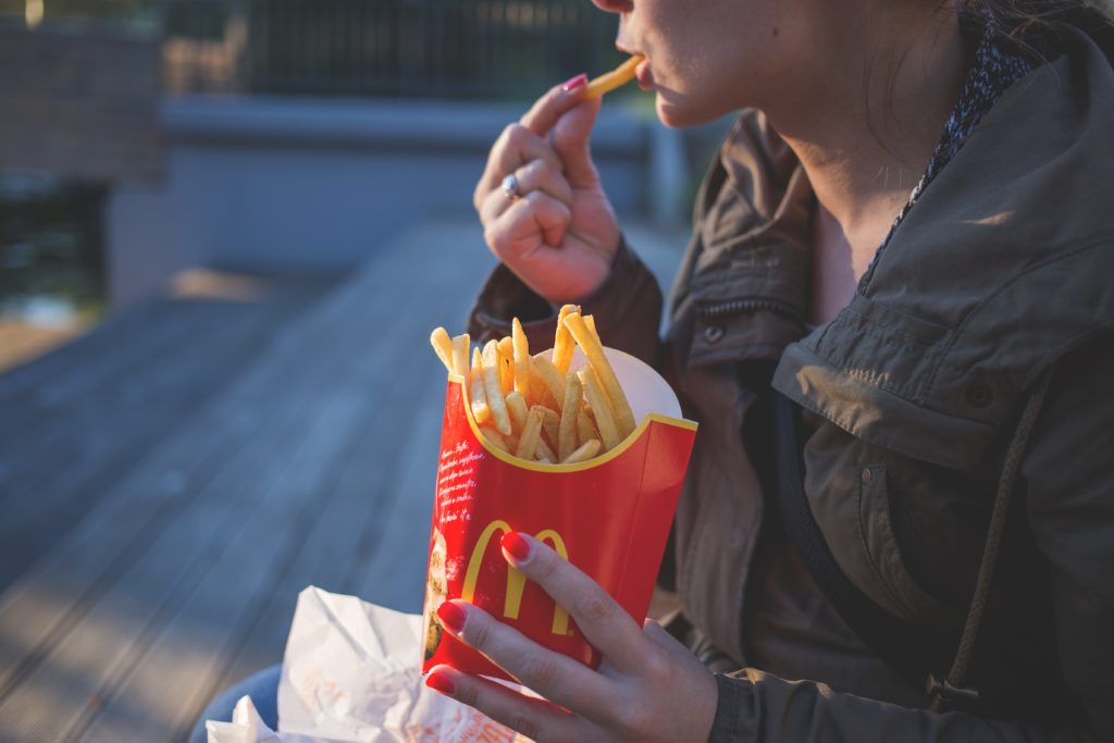 close-up-coat-eating-139681-1024×683